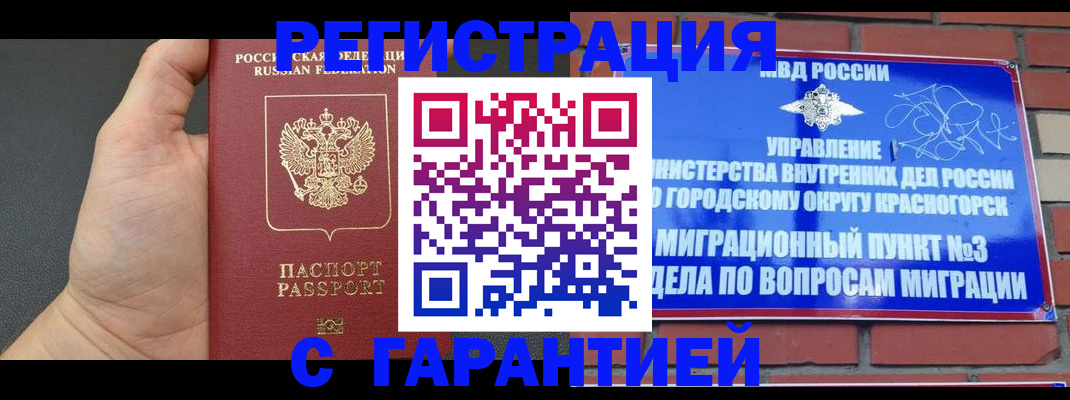 прописка иностранных граждан в Звенигово